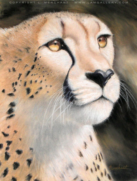 Cheetah, Soft Pastel on Colorfix Paper, 9x12, 2006.