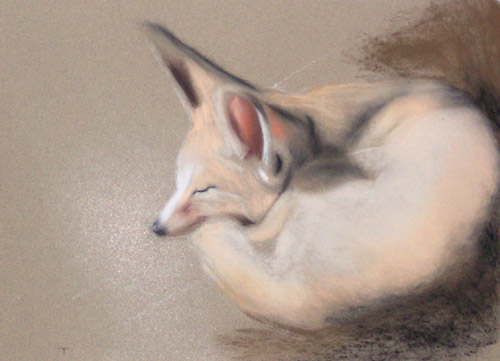 Fox, Soft Pastel, 2006.