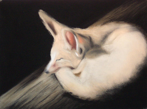 Fox, Soft Pastel, 2007.