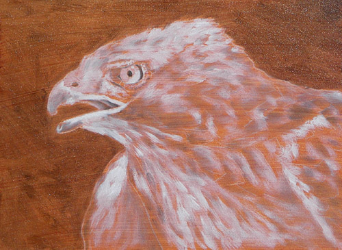 Hawk, Oils, 5x7, 2007.