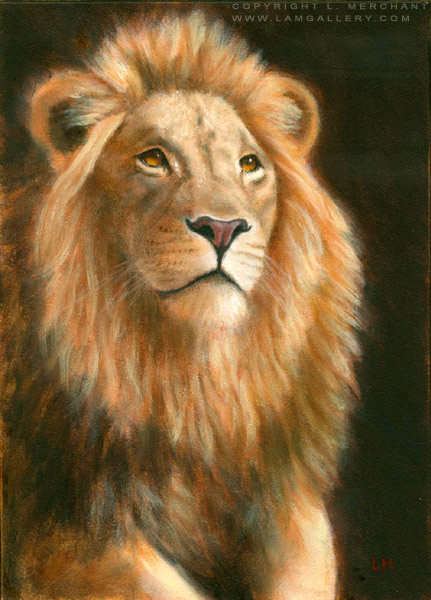 Lion, Oils, 5x7, 2007.