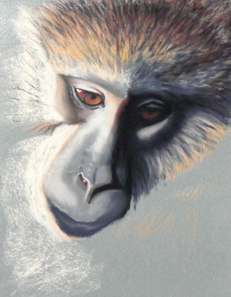 Monkey, Soft Pastel on La Carte, 9x12, 2007.