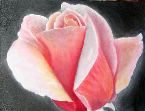 Rose Macro, Oils, 18x24, 2007.