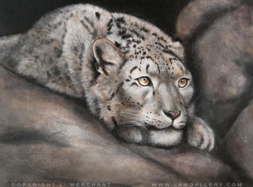 Snow Leopard, Oils, 18x24, 2007.