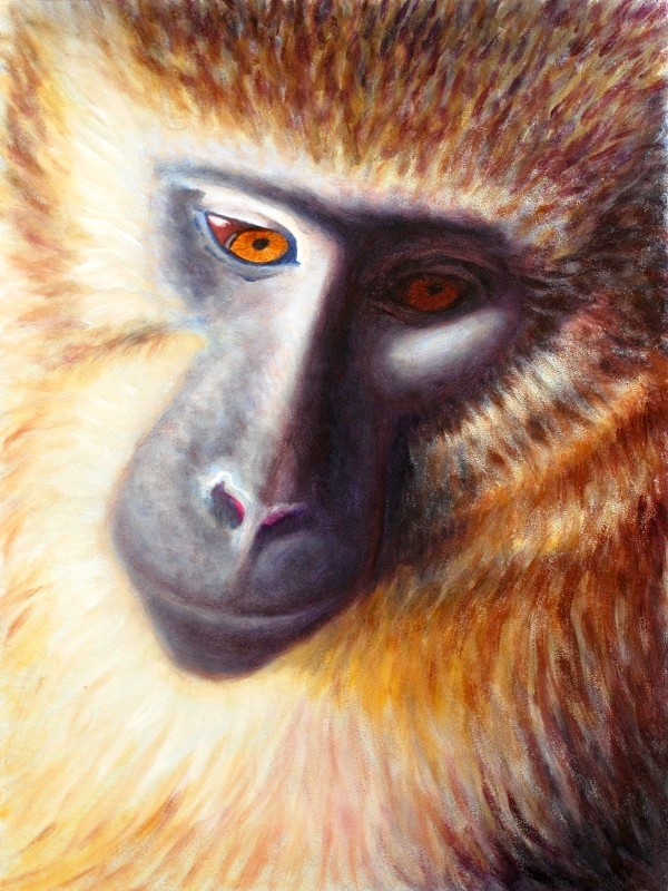Golden Monkey, Oil, 2009.