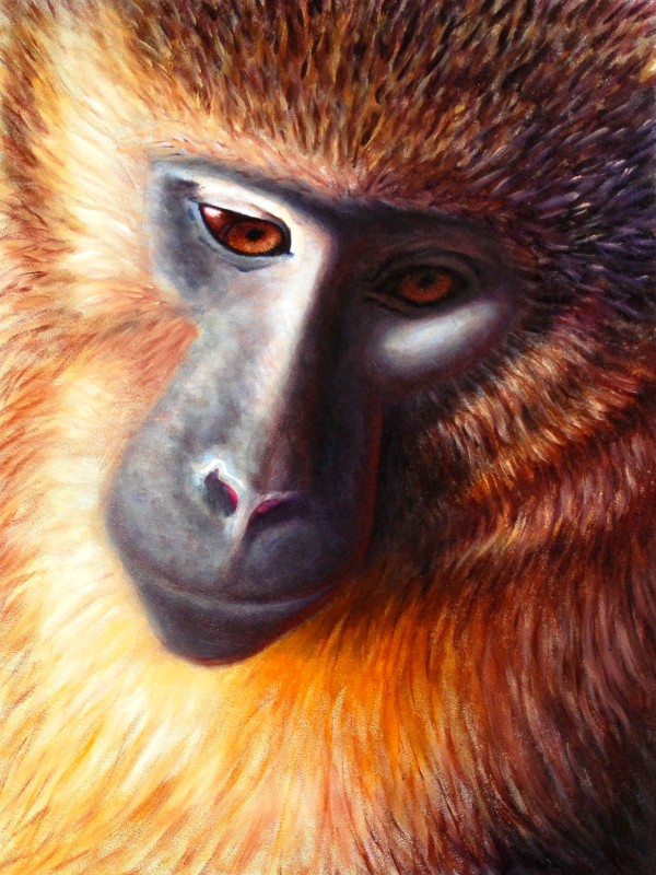 Golden Monkey, Oil, 2009.