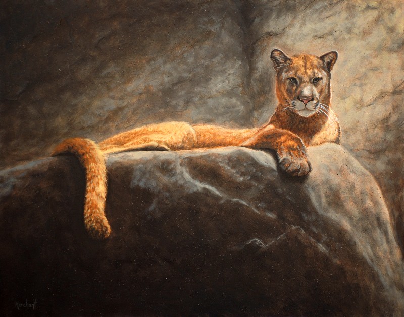 Laying Cougar, Oil, 2010.