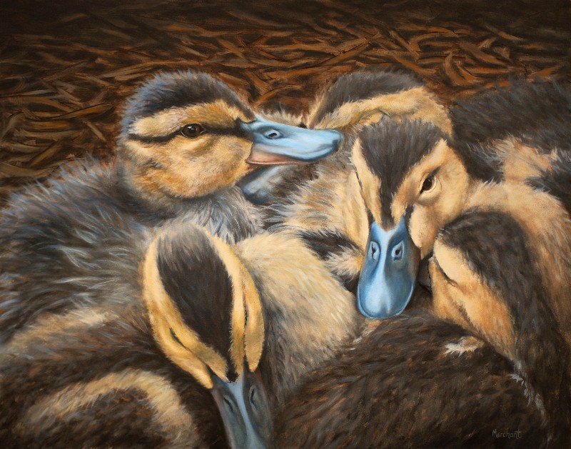 Ducklings, Oil, 2010.