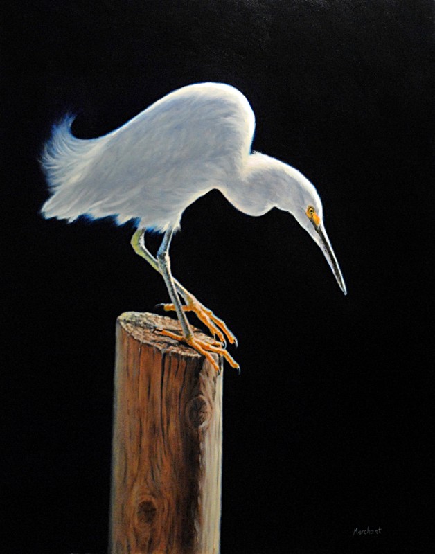 Egret, Oil, 2010.