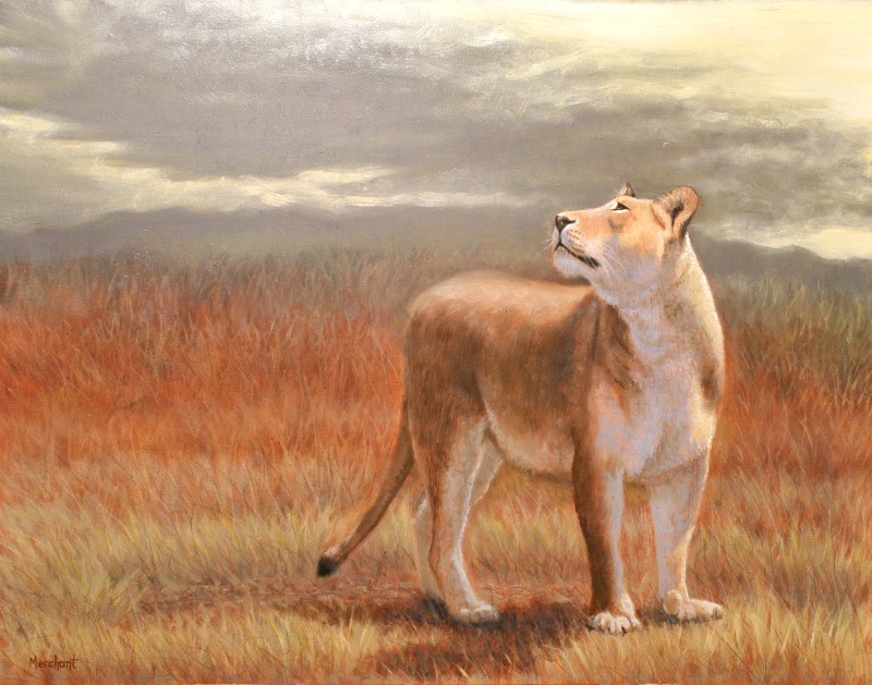 Lion Cub, Oil, 2010.