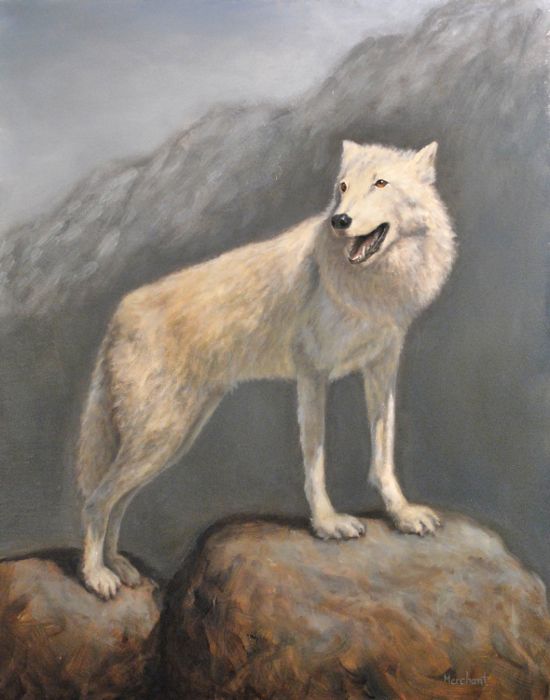 Mountain Wolf, Oil, 2010.