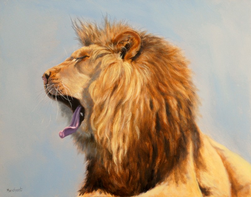 Bed Head - Lion, Oil on Panel, 11x14, 2012.