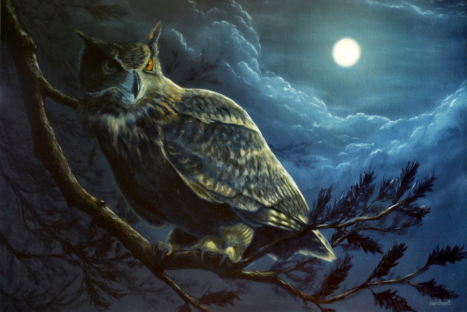 Night Owl, Oil on Canvas, 24x36, 2015.