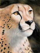 Cheetah, Soft Pastel on Colorfix Paper, 9x12, 2006. 1st Place, HVAA - May 2006