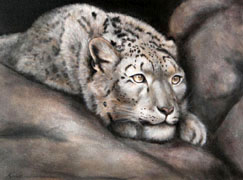 Snow Leopard, Oil, 2007.