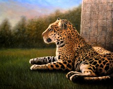 Jaguar, Oil on Panel, 11x14, 2010. 
