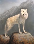 Mountain Wolf, Oil on Panel, 11x14, 2010.