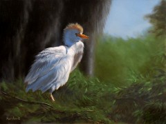 Cattle Egret, Oil on Panel, 12x16, 2012.