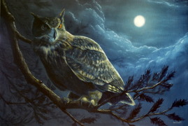 Night Owl, Oil on Canvas, 24x36, 2013.
