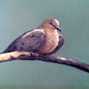 Dove, Oil on Panel, 6x6, 2016.